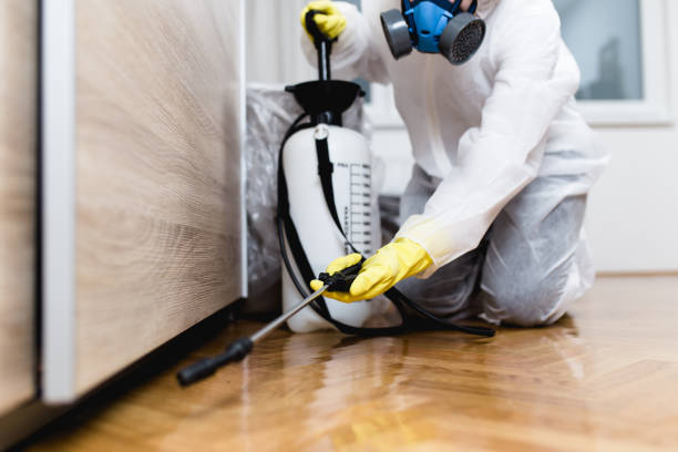 Best Ant Control Services  in Jonesville, LA