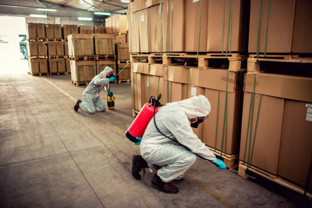 Best Bed Bug Extermination  in Jonesville, LA