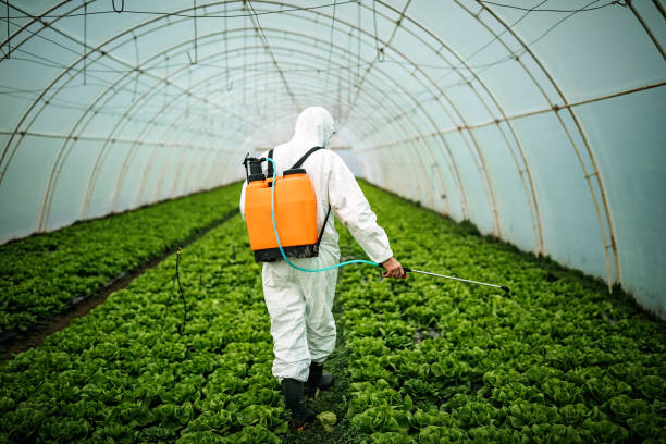 Best Pest Control for Homes  in Jonesville, LA