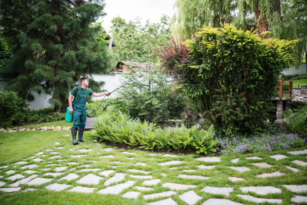 Best Wasp Removal Services  in Jonesville, LA