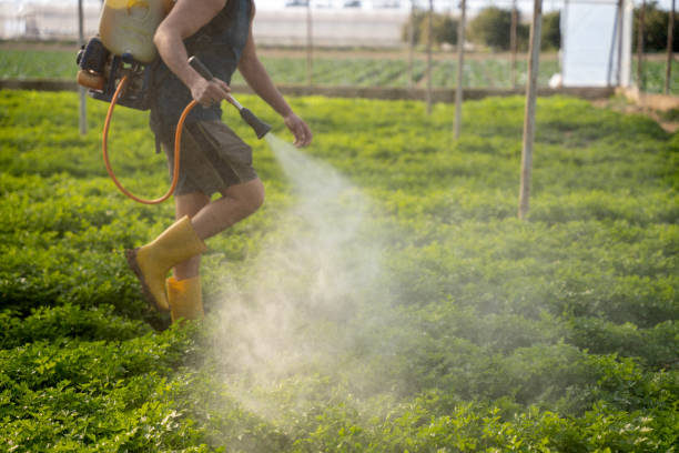 Best Ant Control Services  in Jonesville, LA