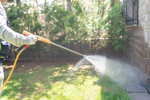 Best Termite Control Services  in Jonesville, LA