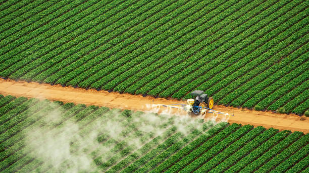 Professional Pest Control in Jonesville, LA