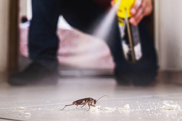 Best Commercial Pest Control Services  in Jonesville, LA