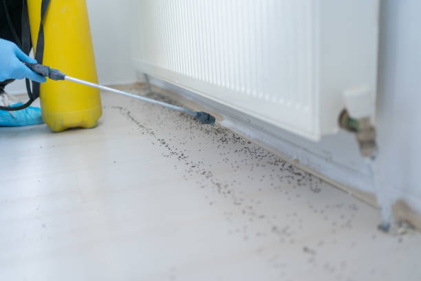 Reliable Jonesville, LA Pest Control Solutions