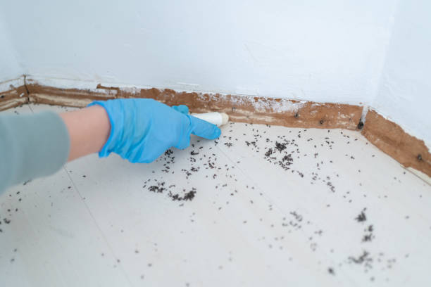 Best Wildlife Control Services  in Jonesville, LA