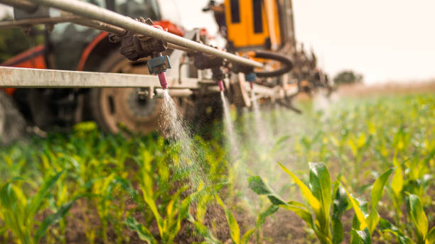 Pest Prevention Services in Jonesville, LA